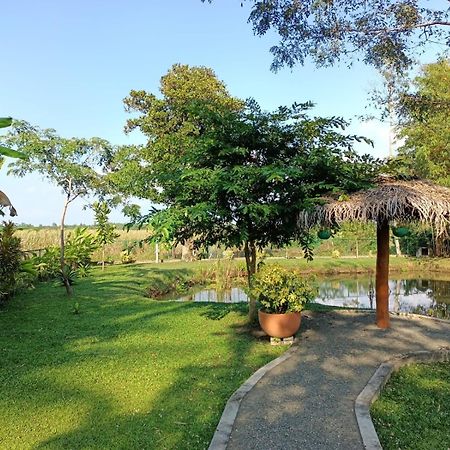 Avalon Village Resort Induruwa Extérieur photo