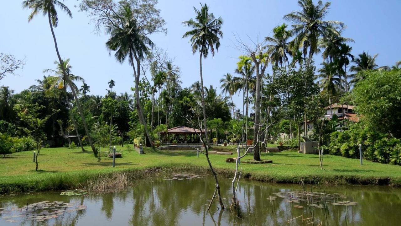 Avalon Village Resort Induruwa Extérieur photo