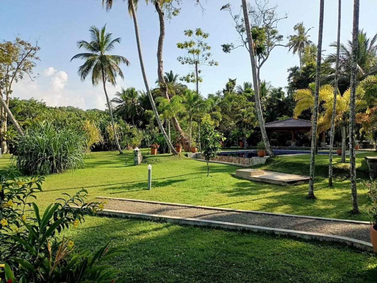 Avalon Village Resort Induruwa Extérieur photo