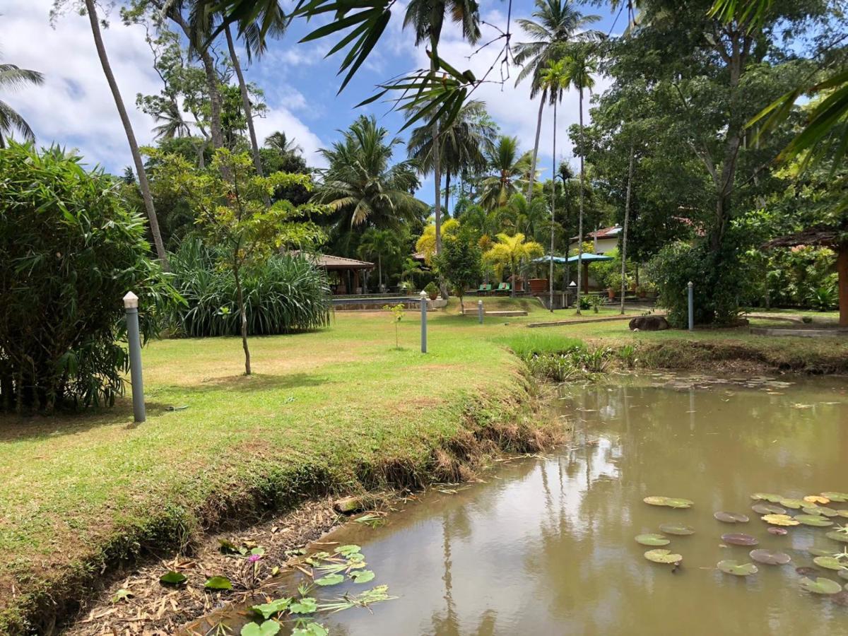 Avalon Village Resort Induruwa Extérieur photo