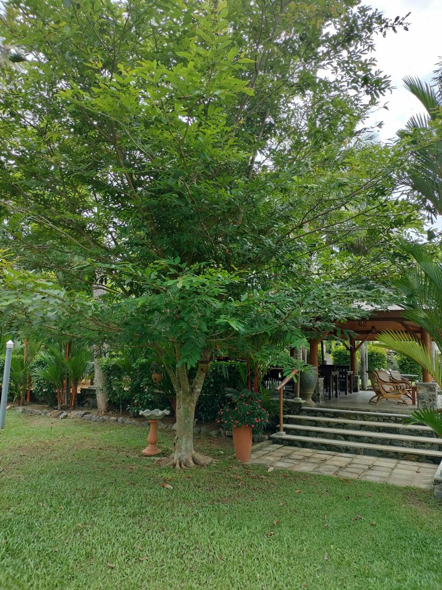 Avalon Village Resort Induruwa Extérieur photo