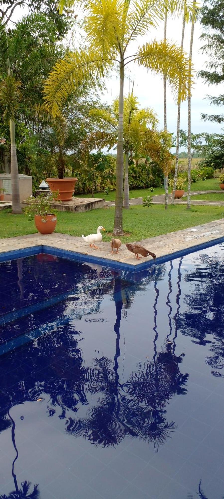 Avalon Village Resort Induruwa Extérieur photo