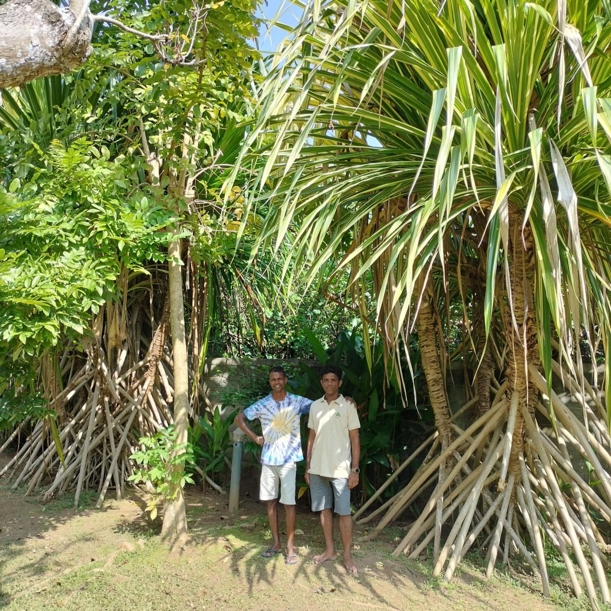 Avalon Village Resort Induruwa Extérieur photo