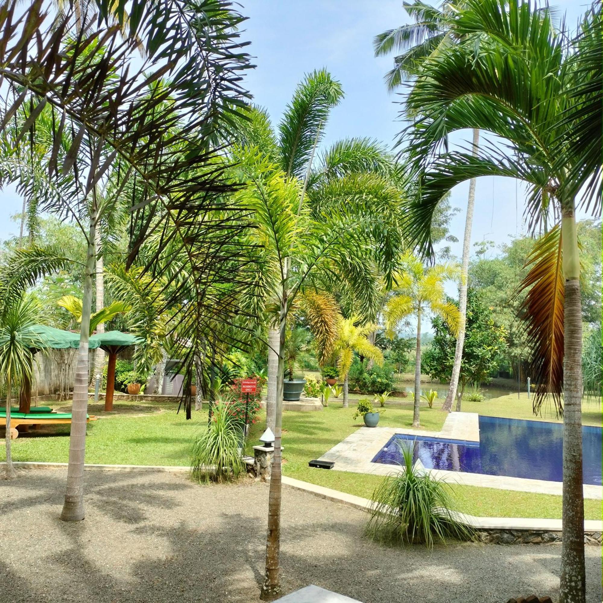Avalon Village Resort Induruwa Extérieur photo