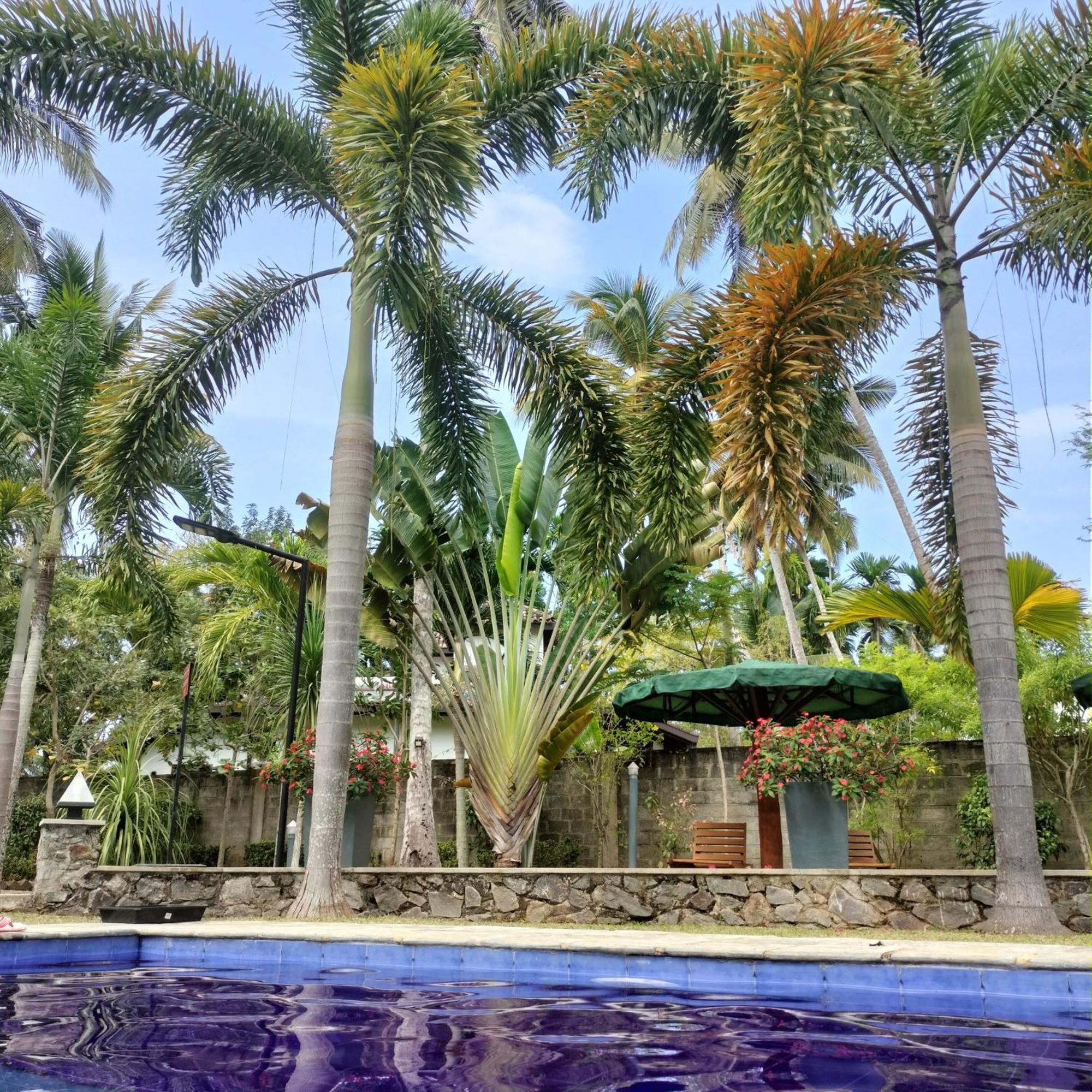 Avalon Village Resort Induruwa Extérieur photo
