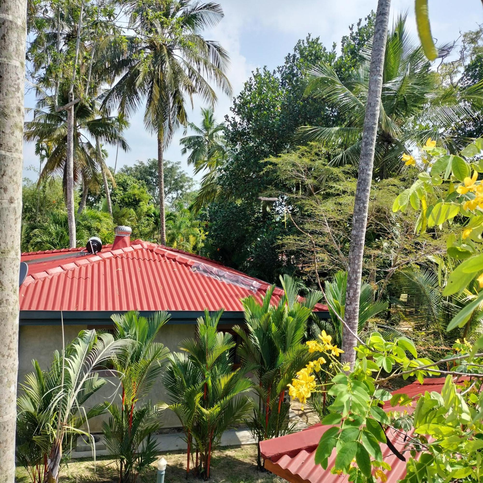 Avalon Village Resort Induruwa Extérieur photo
