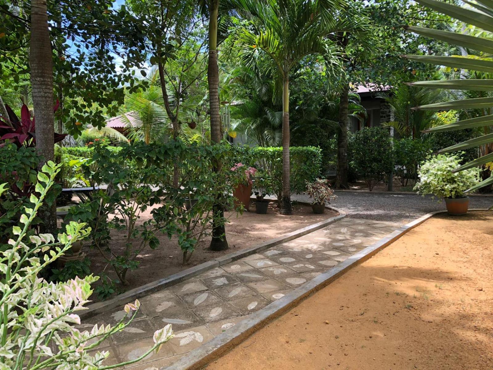Avalon Village Resort Induruwa Chambre photo